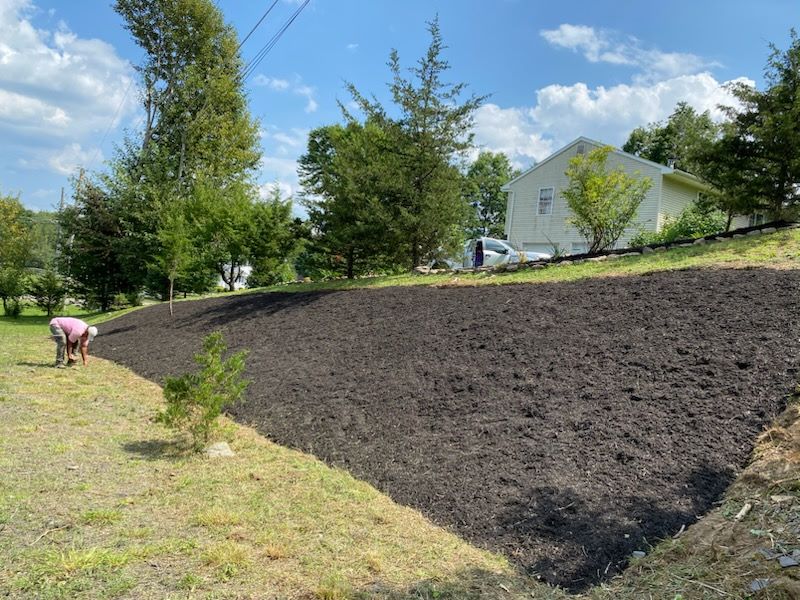 Images Super Landscaping.