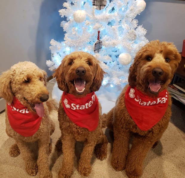 Images Jolene Johannes - State Farm Insurance Agent