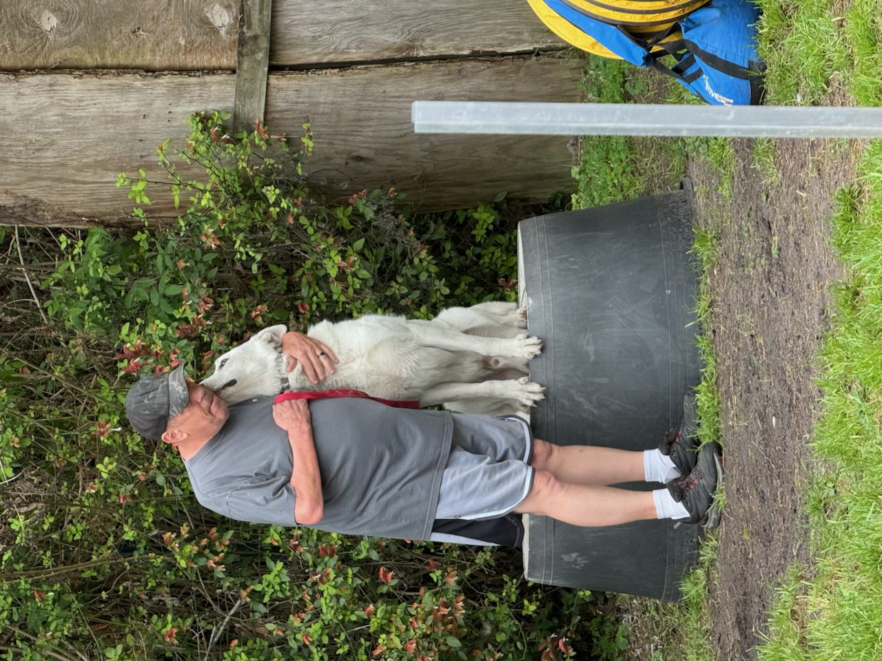 Russell's K9 Academy Image