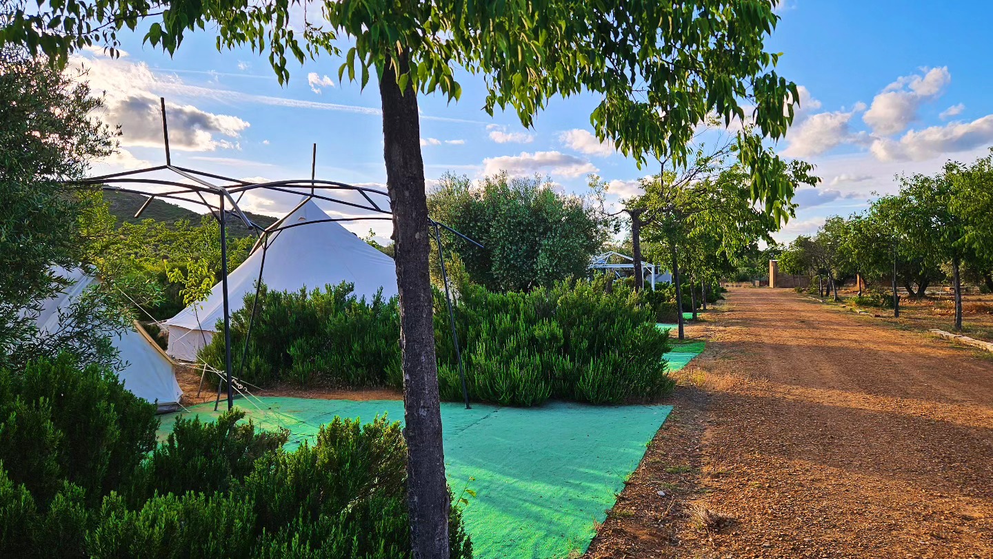 Images Camping La Tabla de la Yedra- Campamento Albergue La Tabla de la Yedra - Restaurante Terraza La Tabla de la Yedra