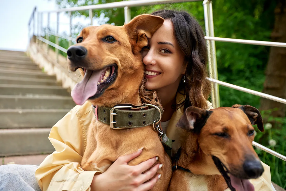 Image of Local Pet Event M.A.S.H. Pet Adoption Event Nearby