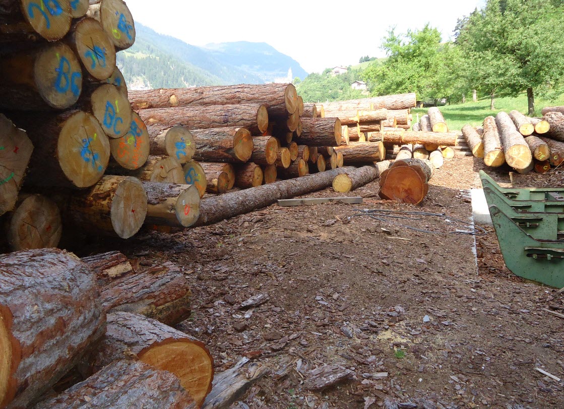 Bilder Projer AG Holzbauunternehmung