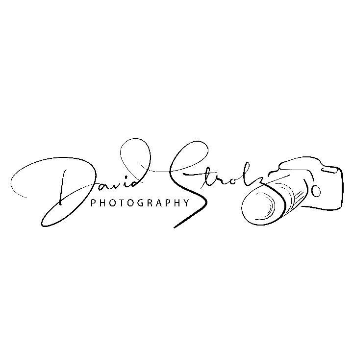 Logo von David Strolz Photography
