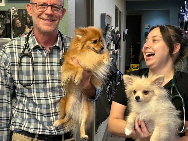 Images Adobe Animal Hospital