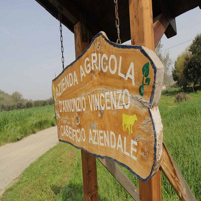 Images Fattoria D’Annunzio
