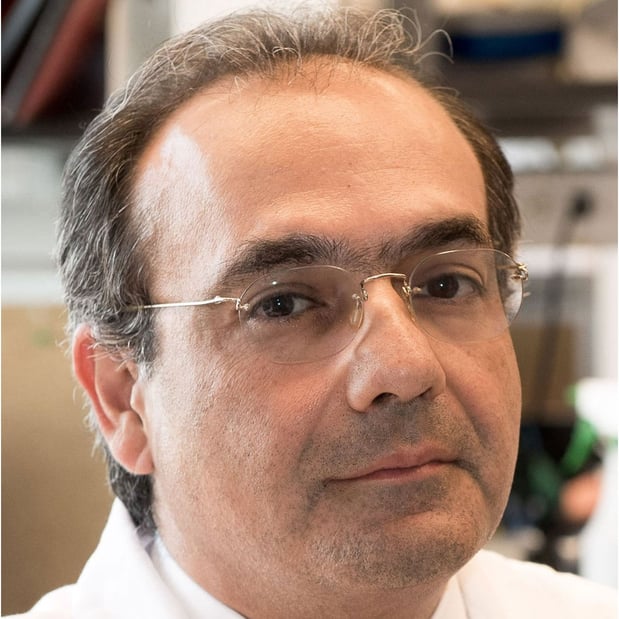 Images Ali G Gharavi, MD