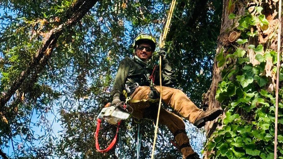 Enhance the appearance and health of your trees with Diaz Tree Service, Inc.'s expert tree trimming services. Our arborists skillfully trim and shape trees to promote proper growth, improve aesthetics, and reduce safety hazards. With our attention to detail and knowledge of tree species, trust us to keep your trees looking their best with precise and professional trimming techniques.
