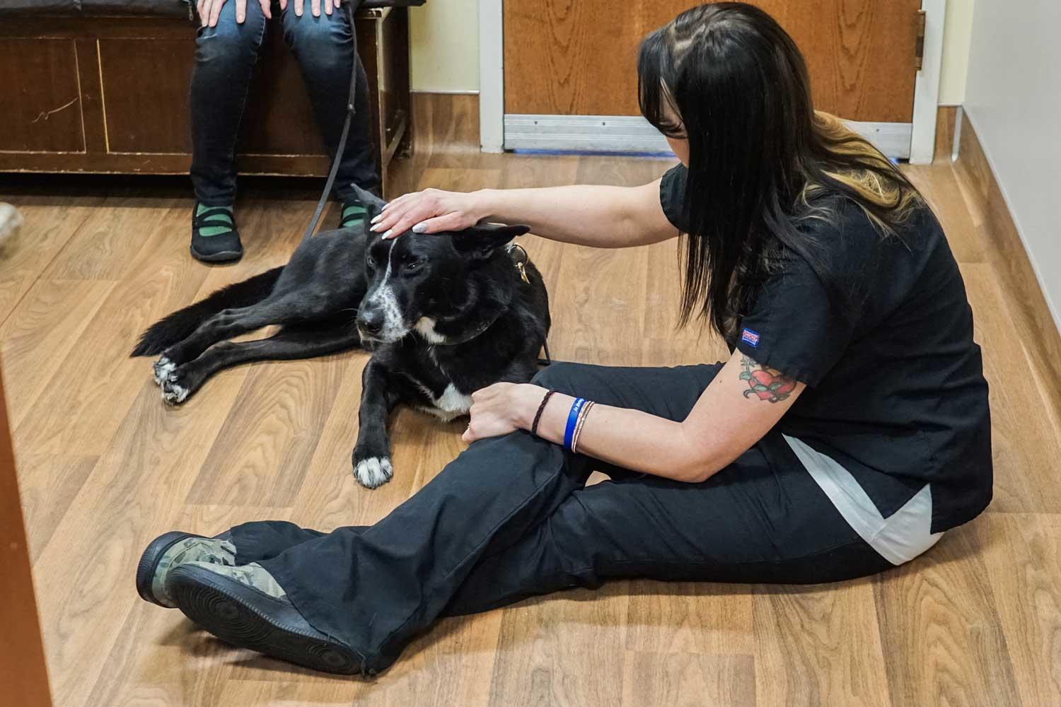 Inver Grove Heights Animal Hospital Photo