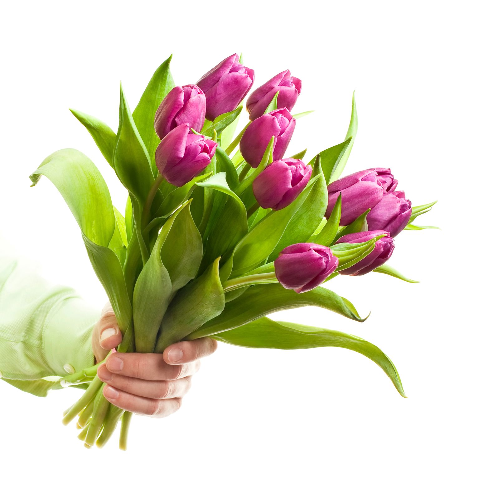 Images Kukkakauppa Vanamo