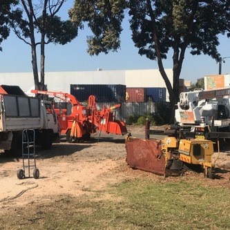 Images A1 Positive Arbour Pty Ltd