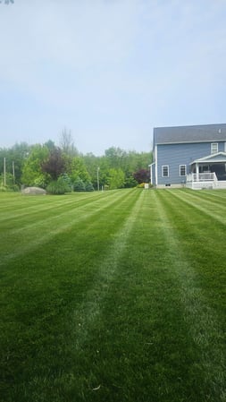 Images Ultra Landscaping LLC