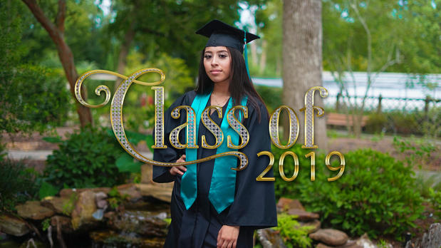 Images Fred Taylor Photography
