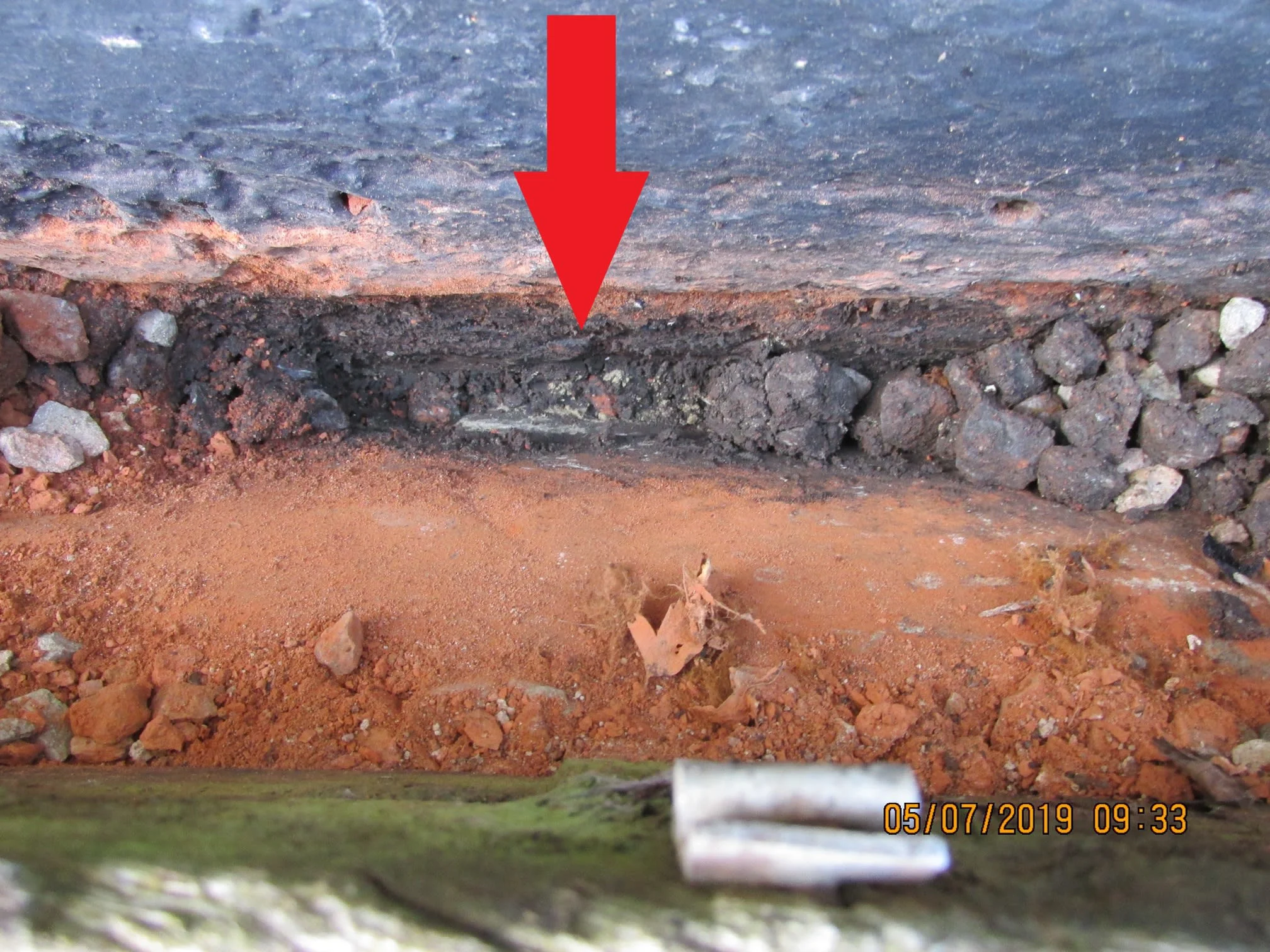 Images Damp Detectives