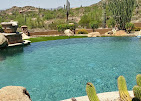 Backyard Oasis Pool and Spa