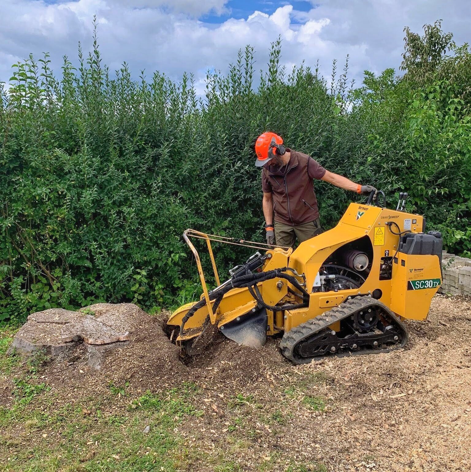 Baumstumpffräsen Tobias Baier, Mangfallstraße 16B in Bad Aibling