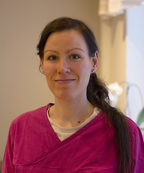 Images Hammaslääkärit Adente