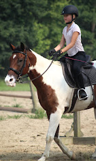 Images Star Ridge Stables
