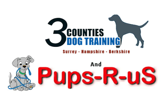 3 Counties Dog Training Camberley 01276 26728
