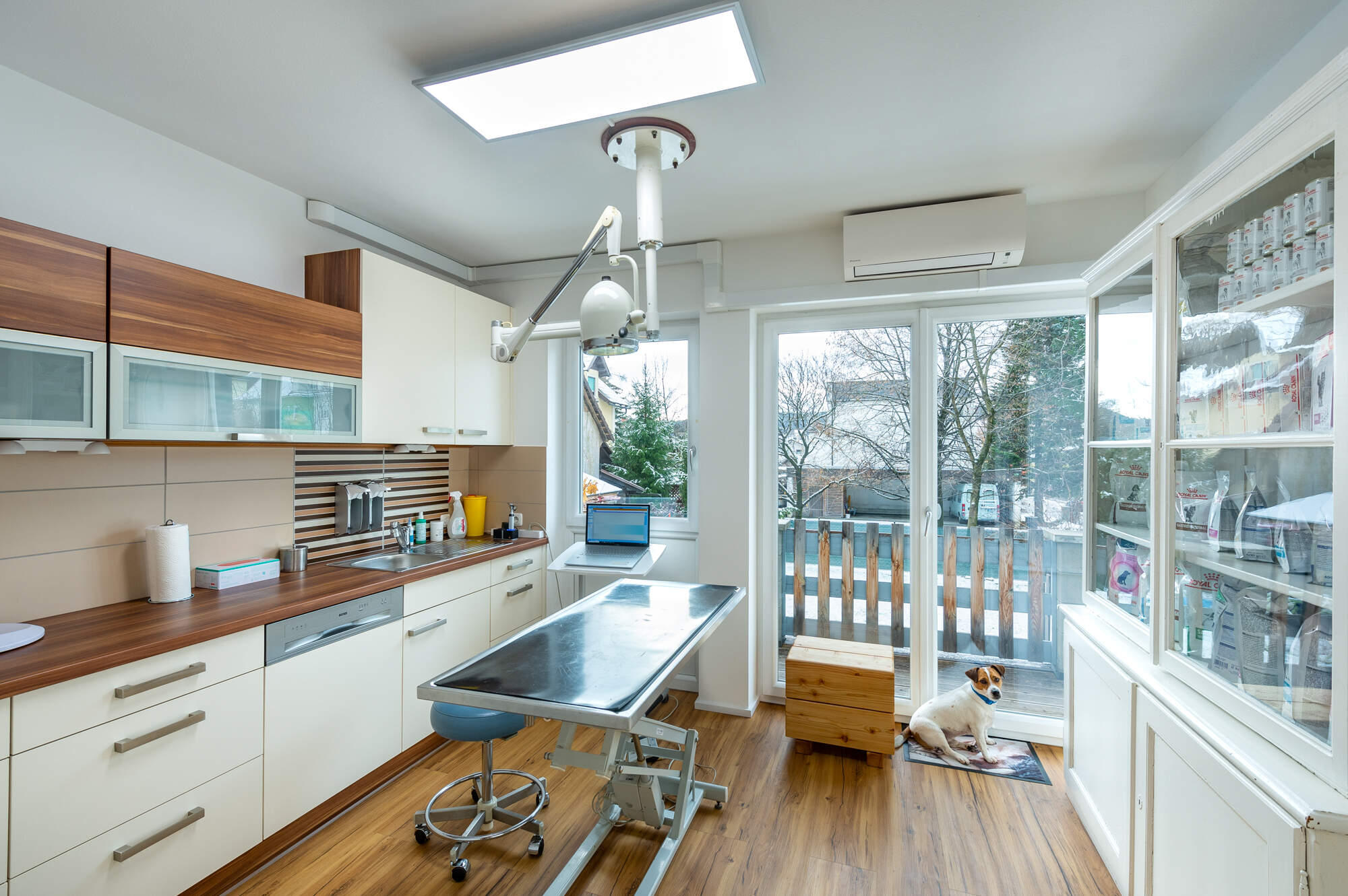 Kleintierordination Weiz, Mag. Alexandra Kienreich, Schillerstraße 43 in Weiz