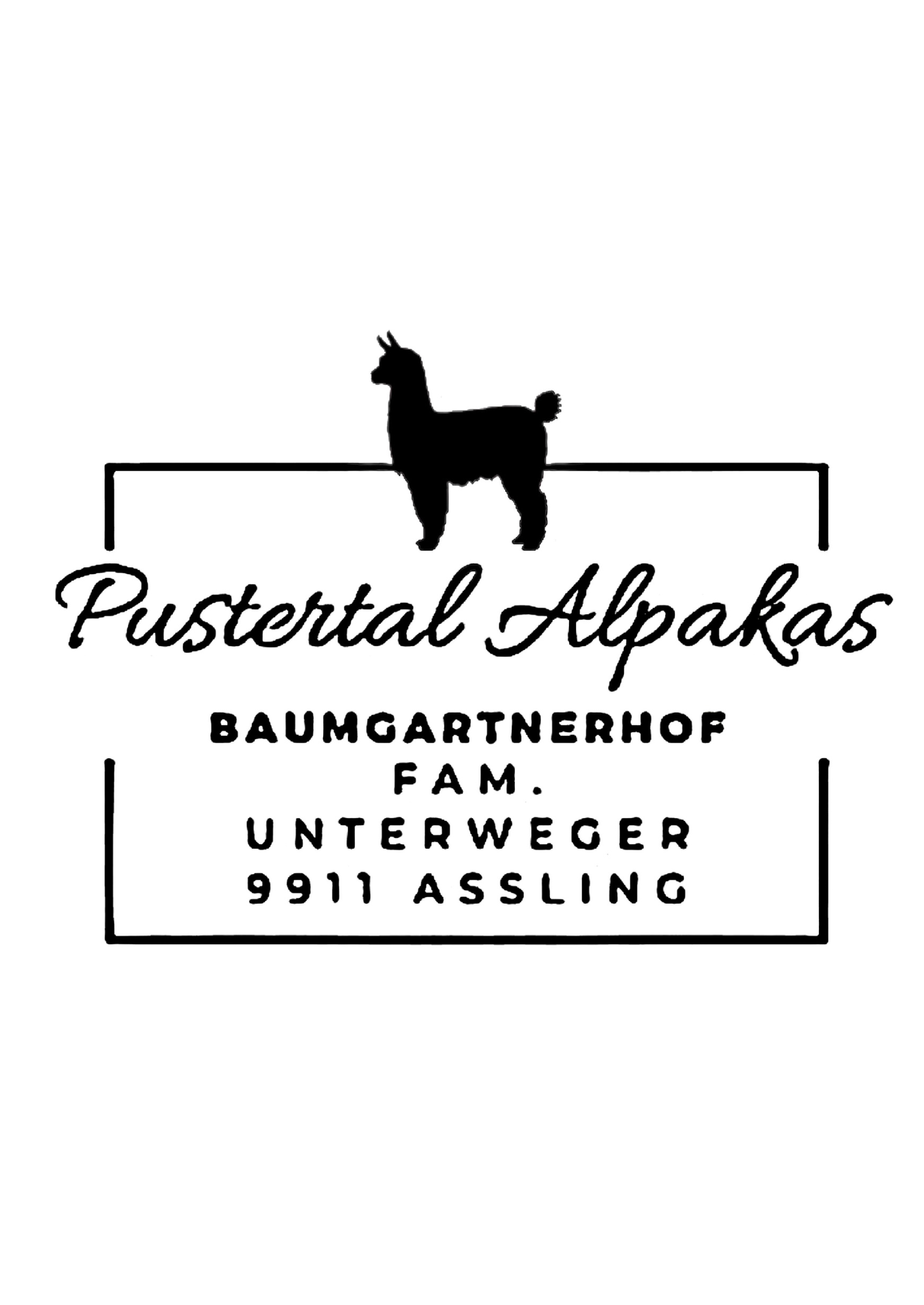 Bild 7 von Pustertal Alpakas vom Baumgartnerhof