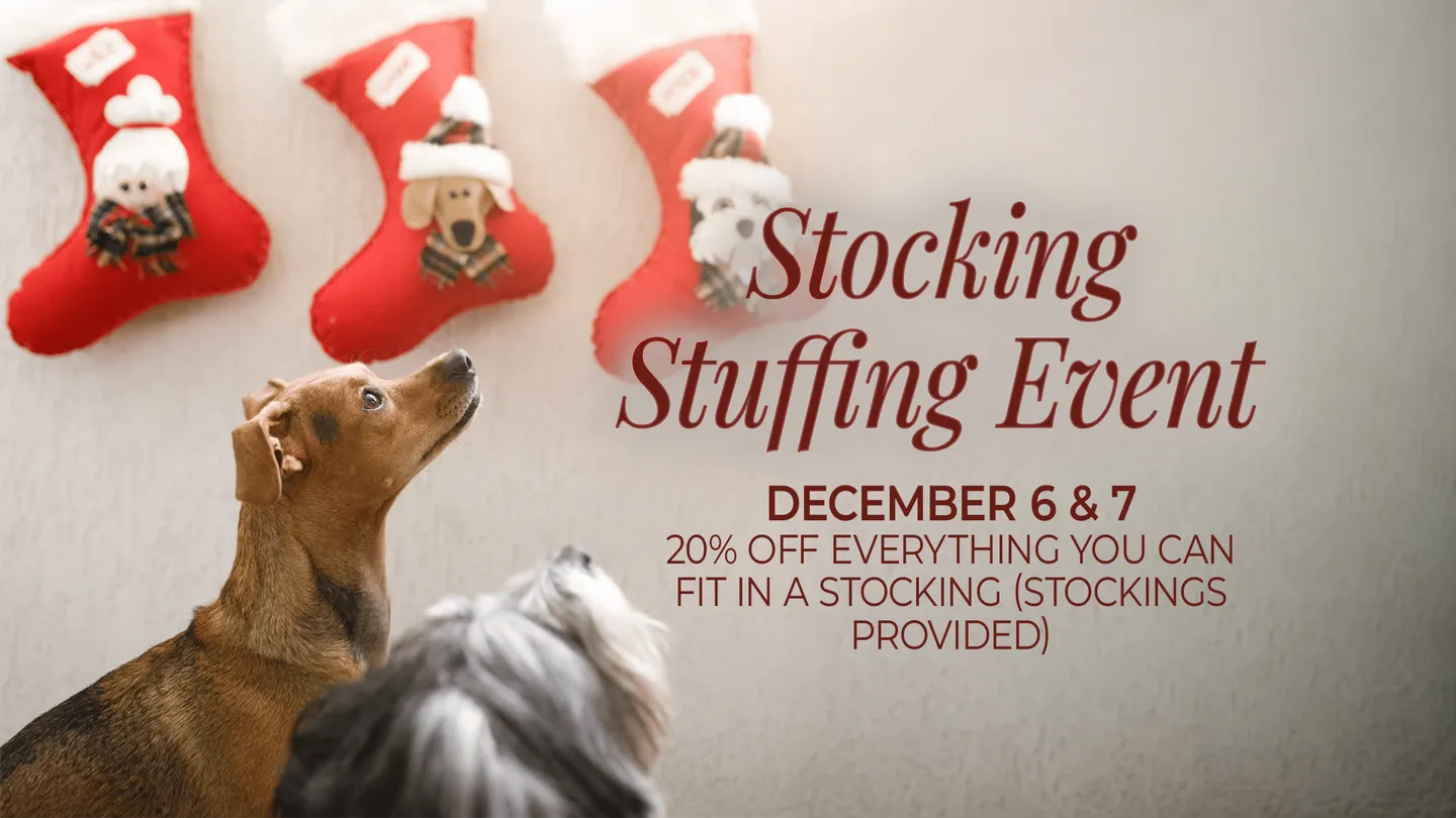 Image of Local Pet Event Stock A Stuffing! Nearby