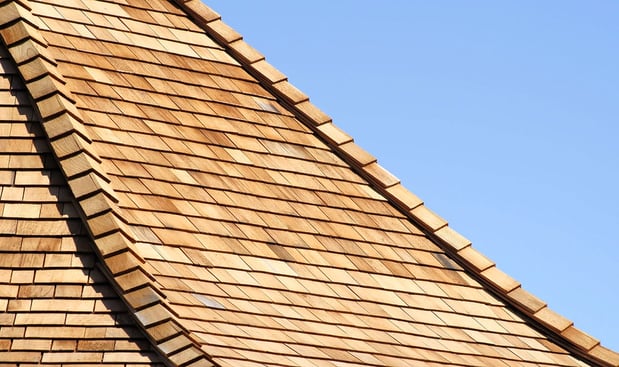 Images Guardian Roofs