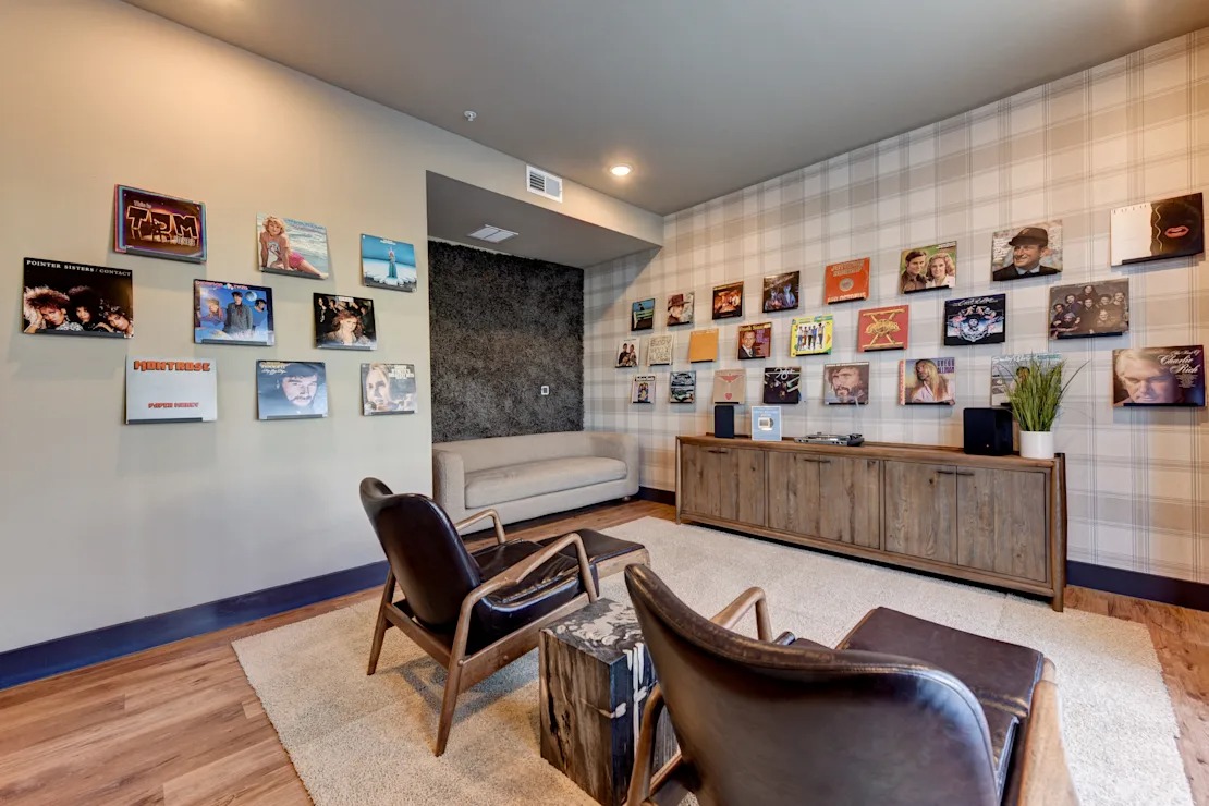 Vinyl Record Music Room