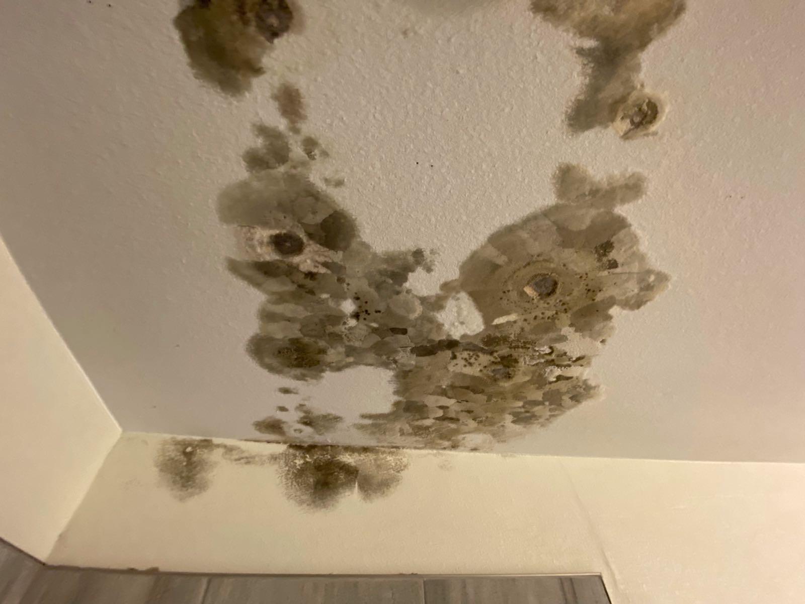 If there are unpleasant odors coming from your walls, floors, or drains, you might have a mold problem. You can depend on SERVPRO of Firestone /Platteville to handle all of your mold removal needs. If you have any questions or would like to schedule service, please give us a call!