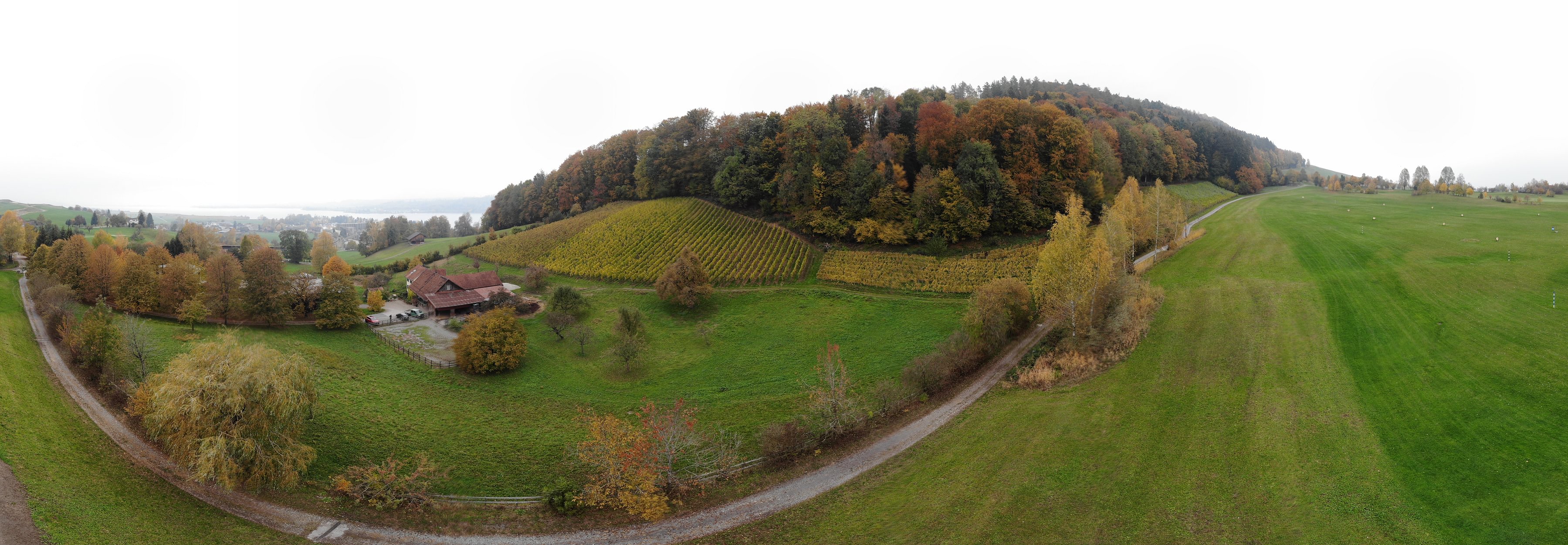 Weingut Irsslinger vom Zürichsee, Rüteli 3 in Wangen SZ