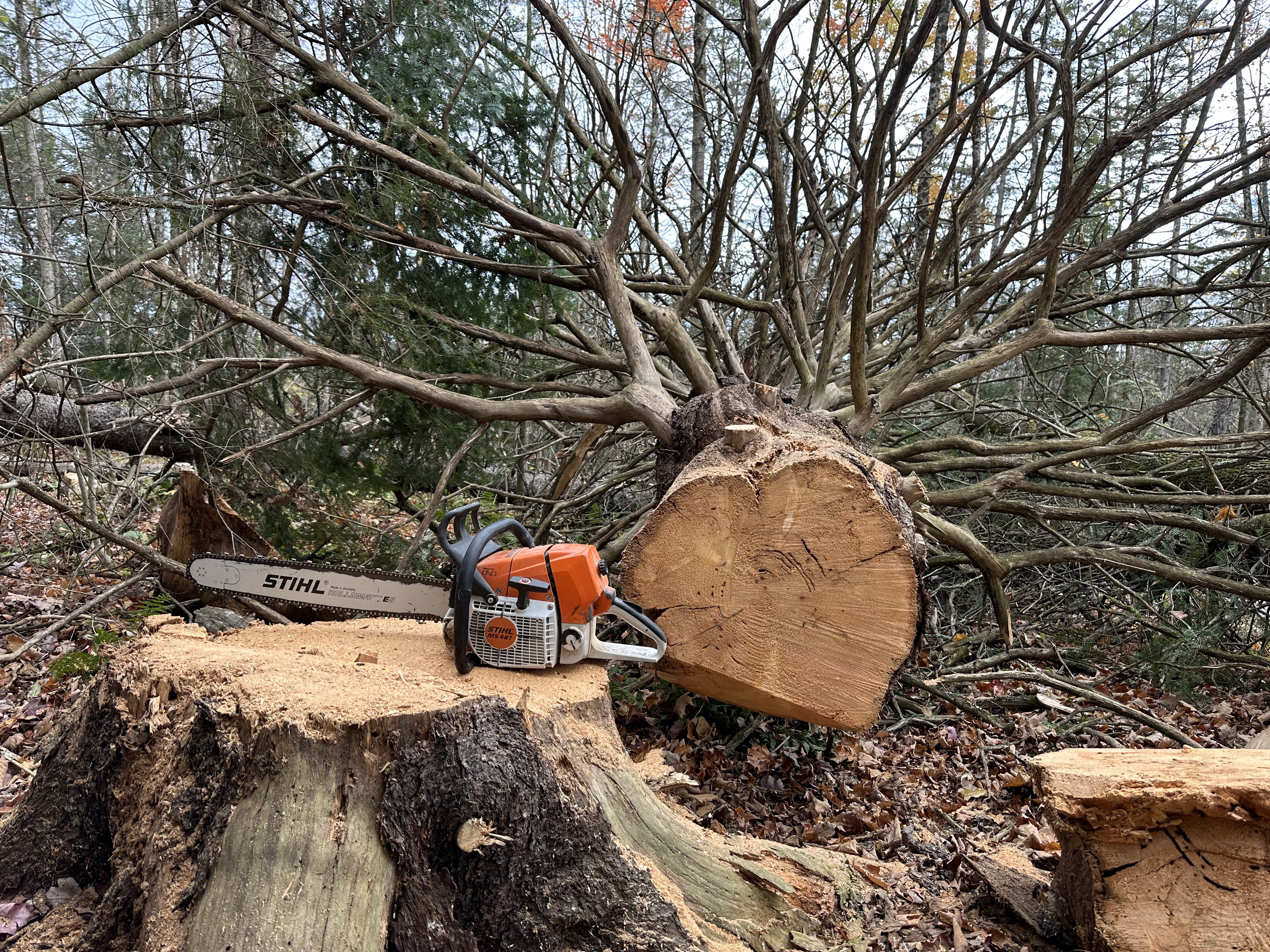 Images Altitude Abattage - Services d'arbres, Élagage, Émondage