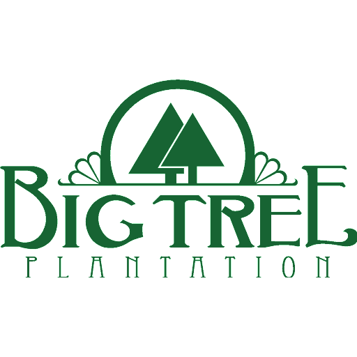 Big Tree Plantation Logo