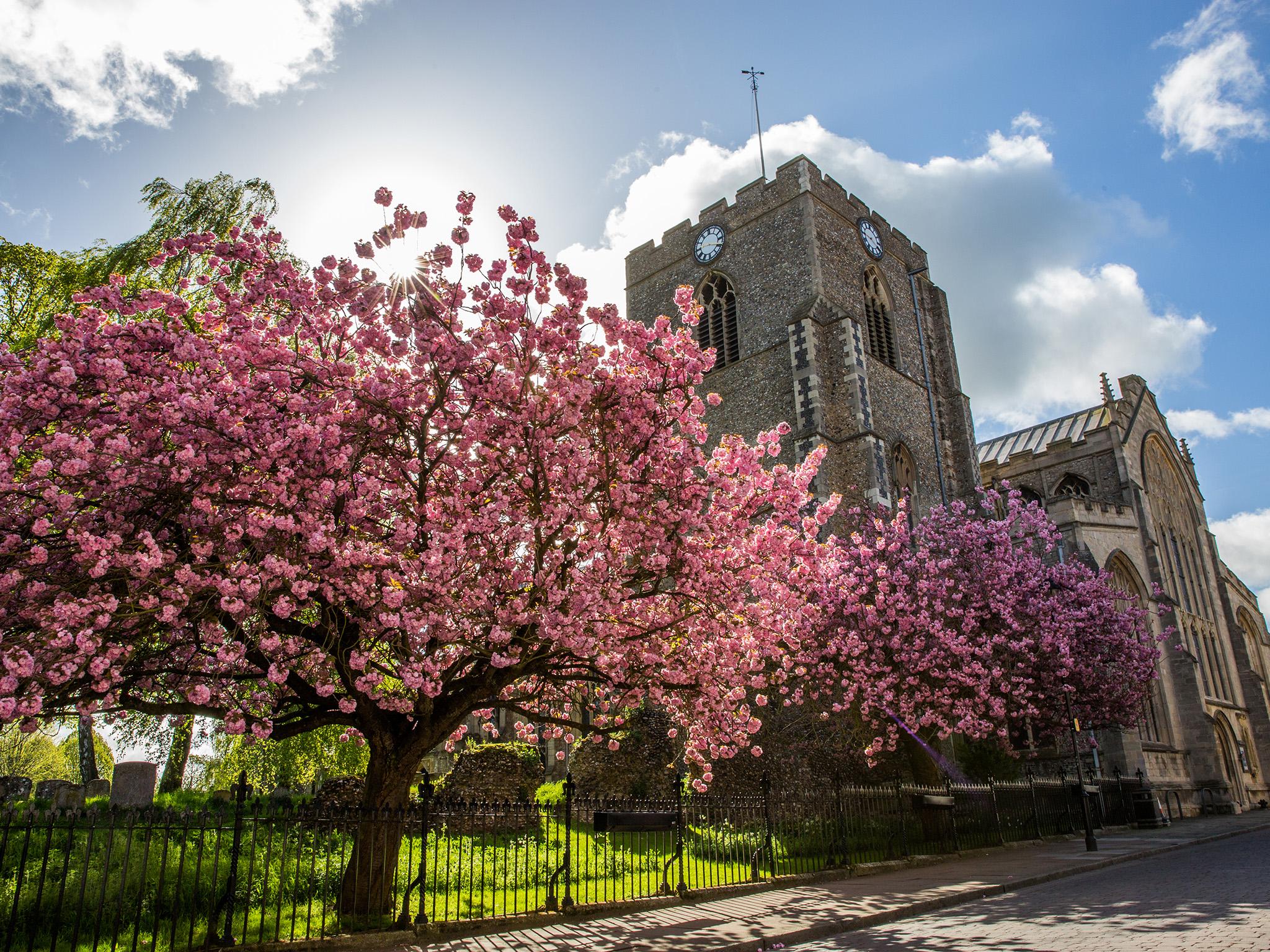 Images Charles Church @ Abbots Vale