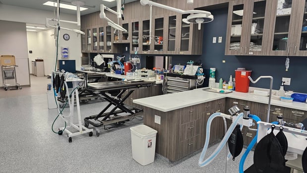 Images VCA Emergency Animal Hospital & Referral Center