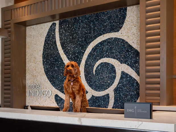 Images Hotel Indigo Long Island - East End by IHG