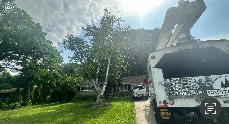 A white service truck with tree removal services advertised on its side is parked in front of a house. The truck has a large mechanical arm extended. In the foreground is a green lawn and a small tree. The sky is partly cloudy.