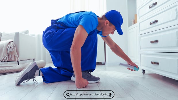 Images Pest Control New York