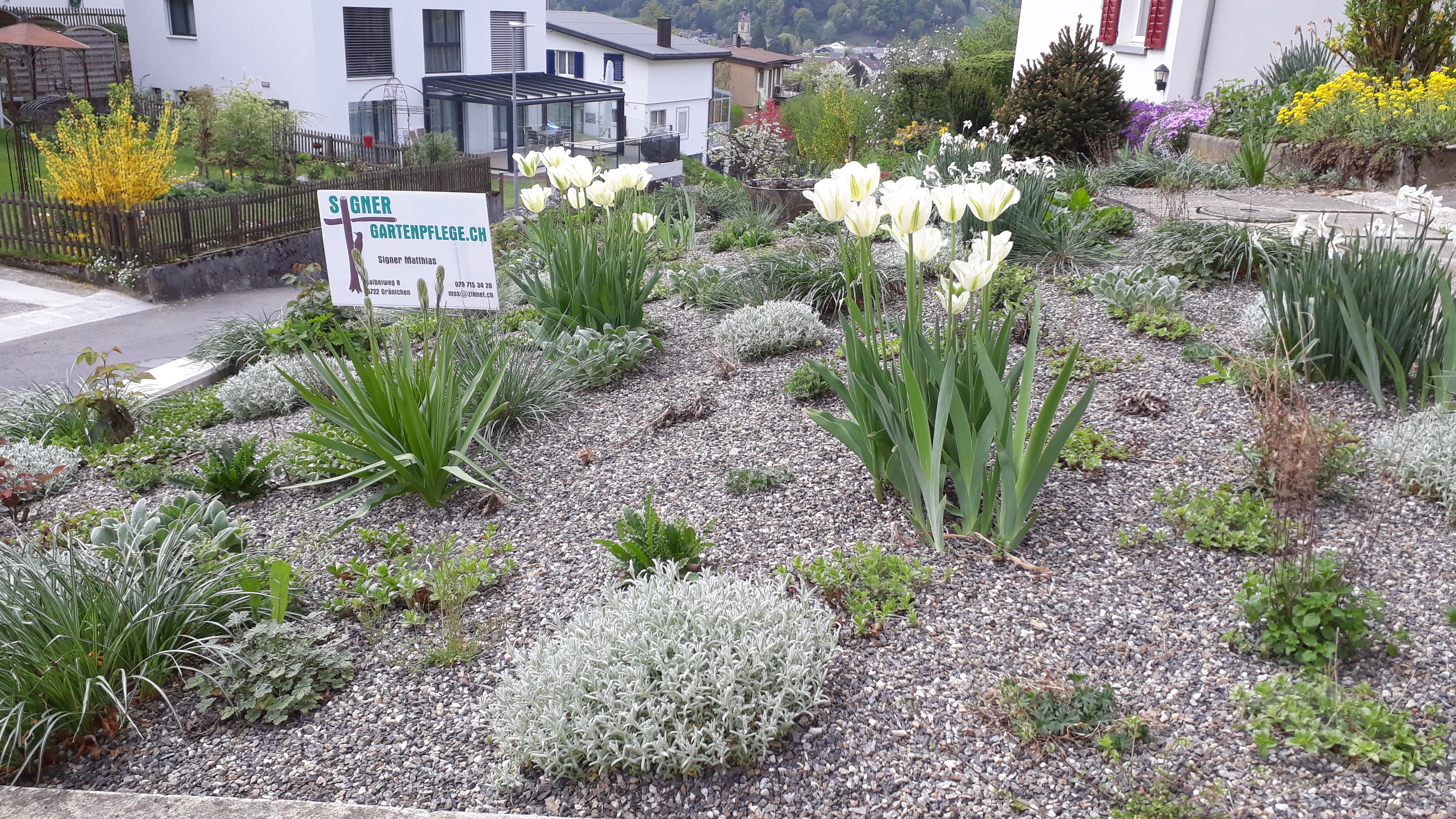 Bilder Signer Gartenpflege