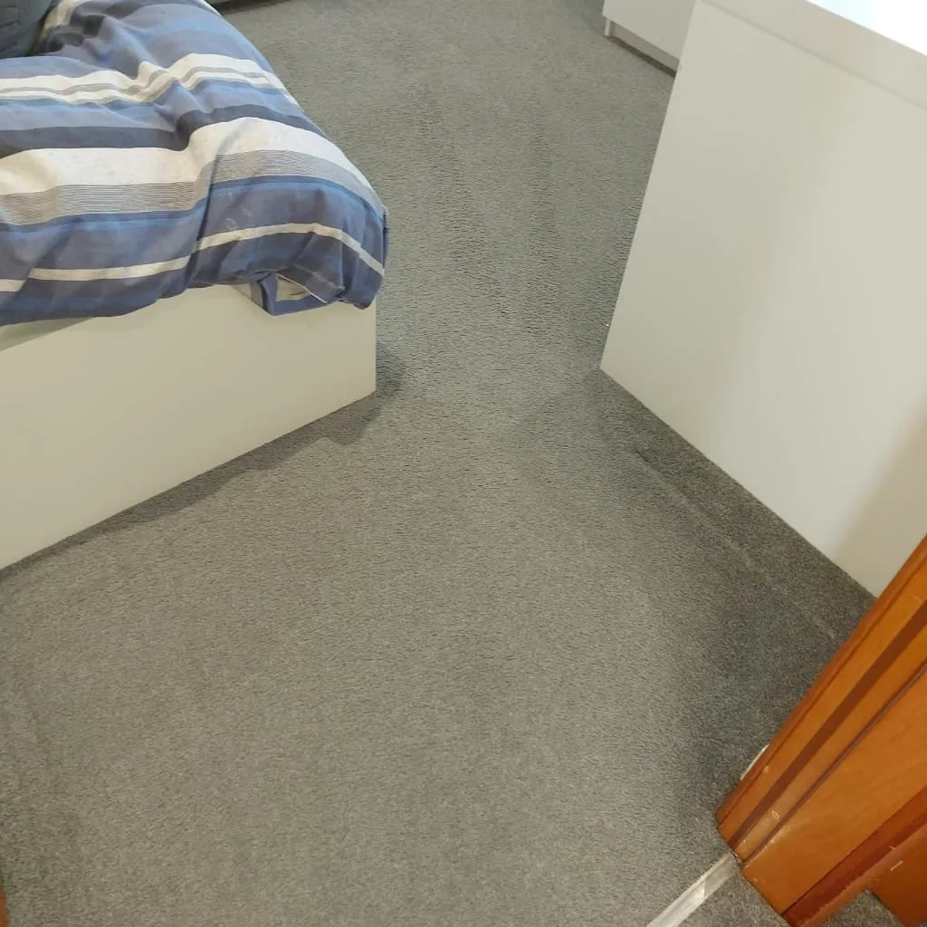 Images Titanium Cleaning