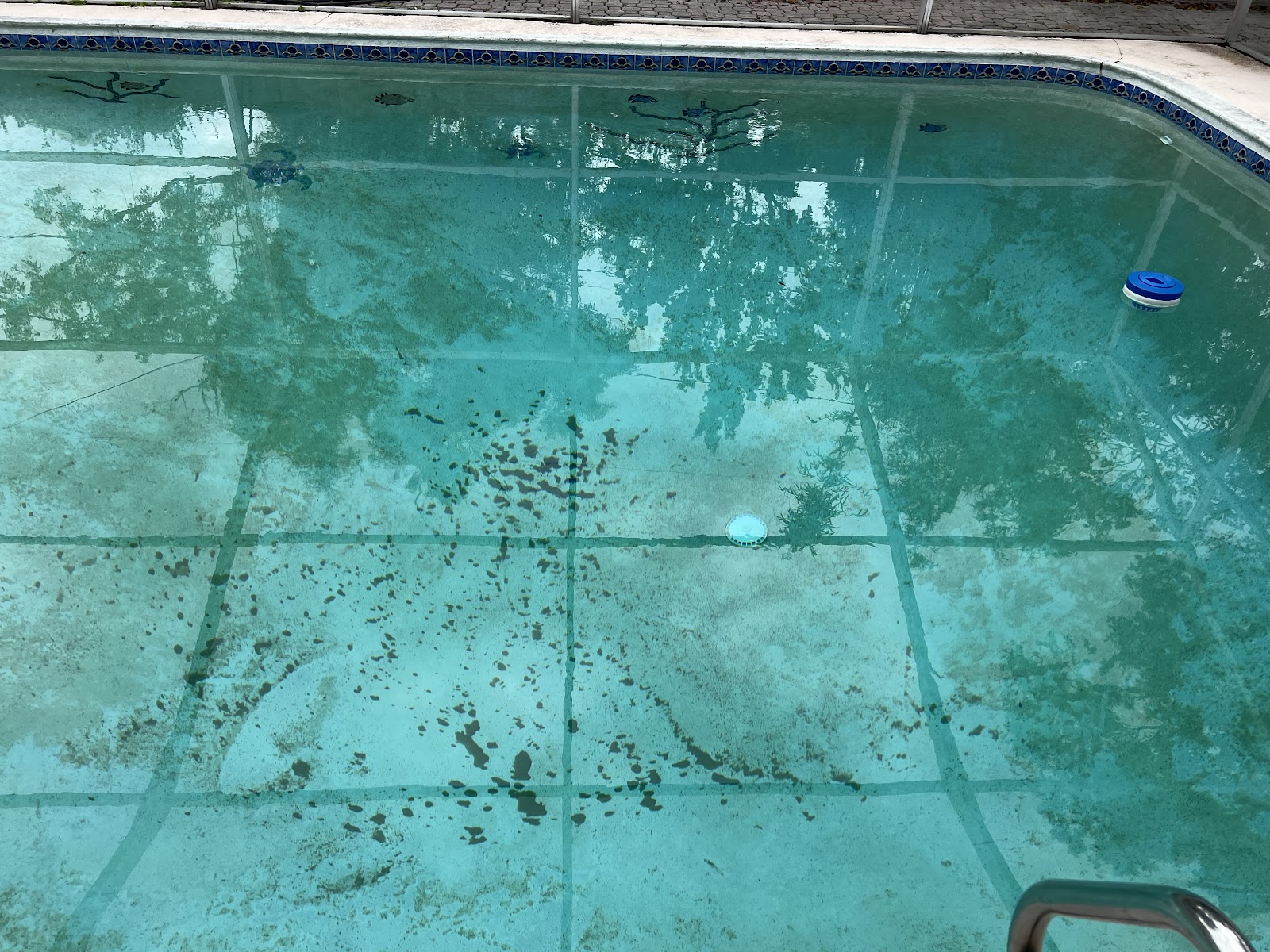 Residential swimming pool with cloudy green-tinted water, visible leaves, and debris across the pool floor.