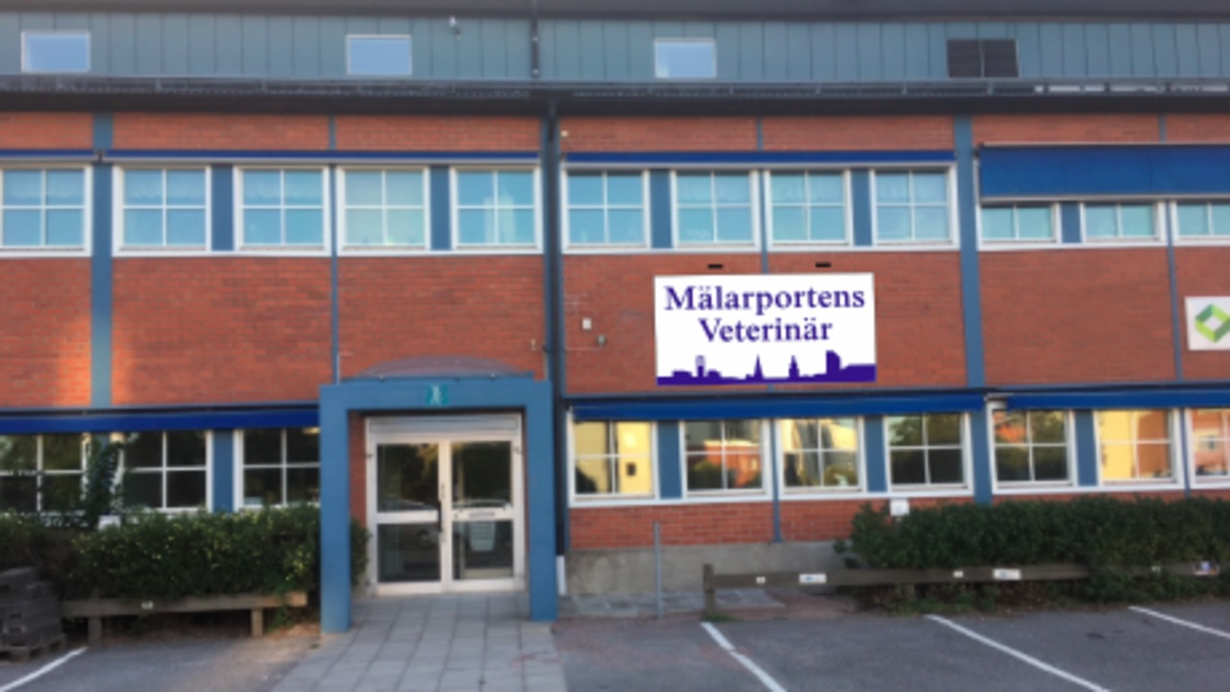 Images Mälarportens Veterinärklinik
