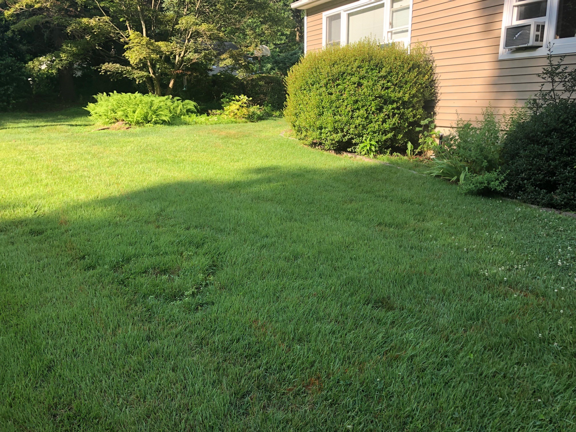 Hudson Valley Landscaping & Drainage Photo