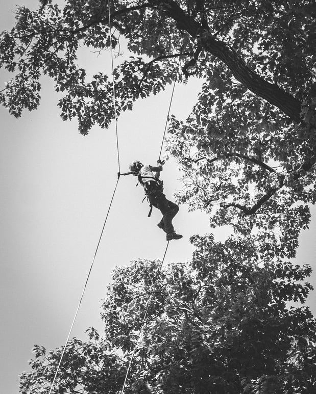 Images That Girl Tree Care