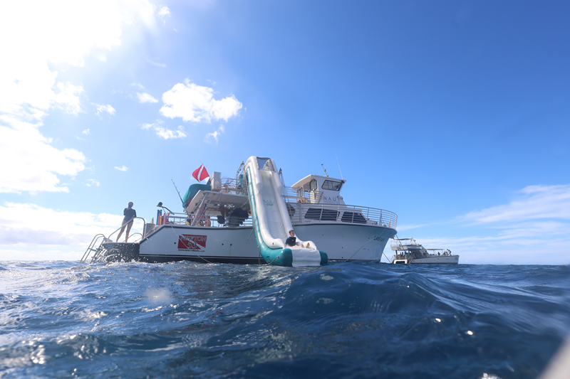 Images Maui Snorkeling