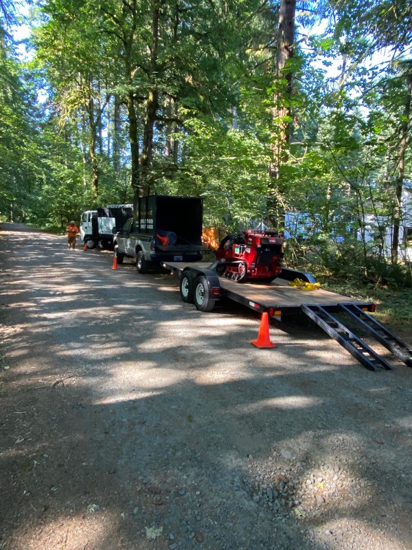 Images Alexa's Tree Service