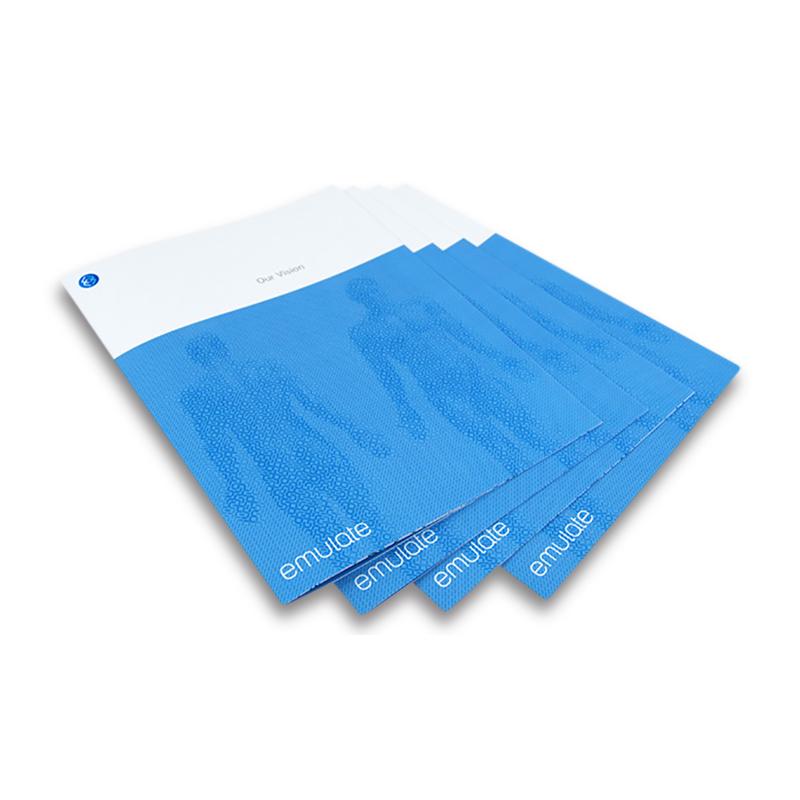 Printed pieces for Emulate. Offset printing by PLC Print.