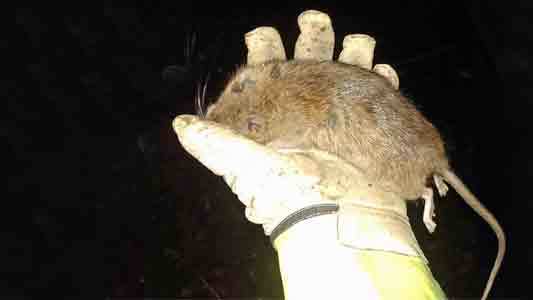 Images Odder Kloakservice ApS