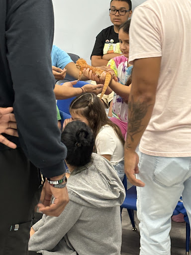 Images Cold Blooded Kingdom