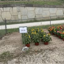 Images Harrison Farm and Feed