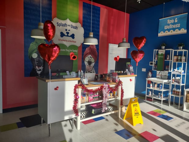 Images Splash and Dash Groomerie & Boutique