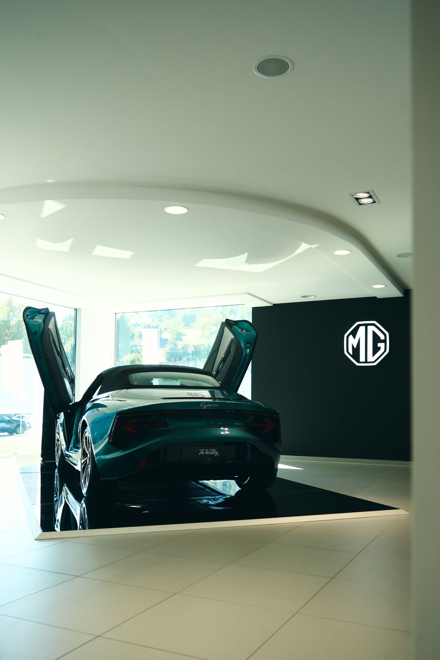 Bilder Th. Willy Zürich-Schlieren